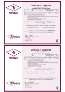 FM