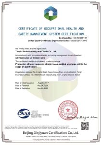 ISO 45001 EN